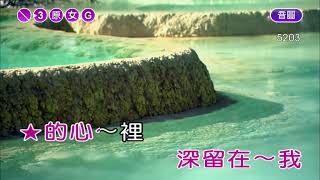 夢難留~鳳飛飛~女原G調~伴奏~音樂甲