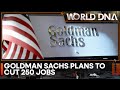 Goldman Sachs workforce shake-up, plans to cut 250 jobs | WION World DNA