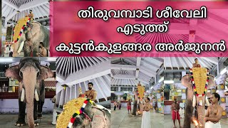 കണ്ണന്റെ ശീവേലി എടുത്ത് കുട്ടൻകുളങ്ങര അർജുനൻ | ശീവേലി എടുത്ത് ആനകേരളത്തിന്റെ സായിപ്പ് | HARISH G