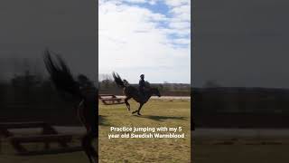 Practice jumping with Nellie. A 5 year old Swedish Warmblood.