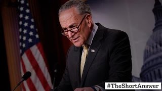 Schumer's Demand: 'Special' or 'Independent' Counsel