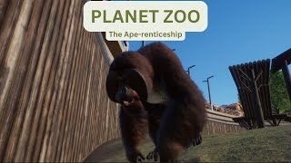 Planet Zoo Career Mode: The Ape-renticeship - HARD - NO COMMENTARY