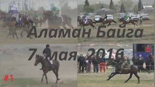 Аламан Байга 2016