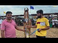 india’s biggest horse u0026 cattle market വർഷത്തിൽ ഒരിക്കൽ മാത്രമുള്ള അന്തിയൂർ കുതിര ചന്ത