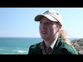 a guided tour of ancient fossil site mistaken point ecological reserve newfoundland and labrador