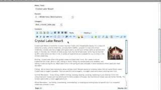 TinyMCE Editor - CMSMS