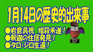 １月１４日のユル豆知識 #シュバイツァー #三島由紀夫  #石田純一  #荒巻陽子 #上原多香子