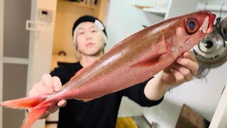 【ノーカット】この白身魚の身が赤い理由を僕はまだ知らない【ハチビキ】