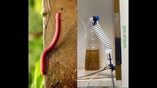 MASH Actuators for Soft Robots