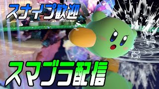 【スナイプ歓迎】スマブラSP【トーナメント潜ります】