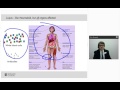 The Diagnosis and Management of Lupus