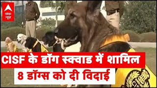 CISF के डॉग स्क्वाड में शामिल 8 डॉग्स को दी विदाई, 10 साल तक दी सेवाएं