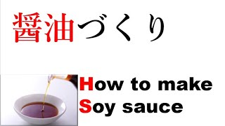【醤油１】醤油の造り方 How to make soy sauce