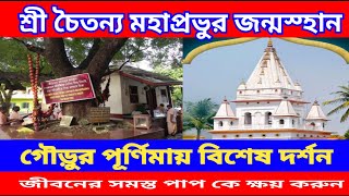 Birth Place Of Sri Chaitanya Mohaprovu । গৌড়ুর পূর্ণমায় মহা প্রভুর জন্ম স্হান দর্শন করুন।