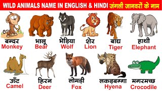 Learn Wild Animals Names in Hindi/English For Kids | जंगली जानवरों के नाम | Download PDF