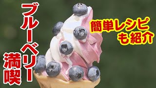 旬のブルーベリー満喫　時間無制限で食べ放題　簡単レシピも紹介　ひんやりスイーツにオシャレ魚料理