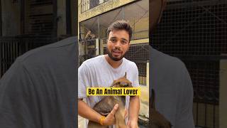 Be an animal lover🙏🙏 #viral #trending #shorts