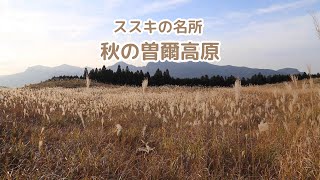 【曽爾高原】ススキの名所、奈良県の曽爾高原の秋の風景です / Autumn scenery of the Soni Plateau in Nara Prefecture