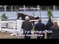 ballypatrick stallions jorado offspring