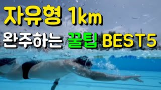 자유형 1km(20바퀴)를 완주할수 있는 5가지 방법 알아보자! (발차기 / 호흡 / 글라이딩 / 영법변경)