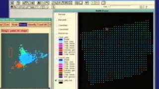 dynamic gis