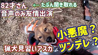 【小悪魔？ツンデレ？】もし猟犬の子犬アスカが人間だったら、絶対○○オンナ！