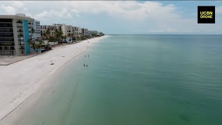 Massive Sargassum algae bloom threatens Florida coast with toxic bacteria