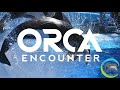 one song orca encounter soundtrack seaworld