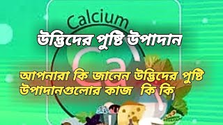 উদ্ভিদের পুষ্টি উপাদান গুলোর কাজ কি কি তা জেনে নিন ।