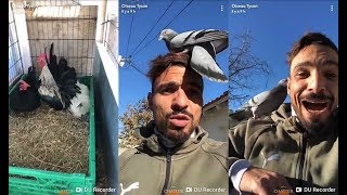 Oiseau Tyson Montre Lincroyable Talent De Tous Ses Animaux