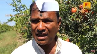 | माळशिरस तालुक्यातील एका |शिक्षकाची | डाळिंब शेती यशोगाथा 2018 | | माळशिरस तालुक्यातील एका |शिक्षकाची | डाळिंब शेती यशोगाथा 2018 |