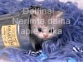 Delfinai - Nerimta daina apie Erika