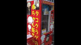 大人気の海洋生物生きてるクラゲが購入できる自動販売機