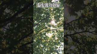 힐링음악 ㅣ 쉼 ㅣ 설렘이 찾아오는 음악 ㅣ 편안함 ㅣ Shorts