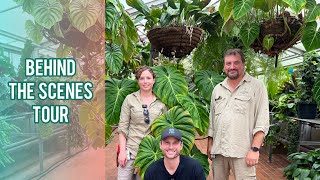 ROYAL BOTANIC GARDEN SYDNEY - a behind the scenes tour - Aroids \u0026 Orchids