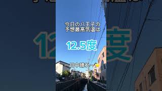 冬晴れで澄んだ青空の今朝の八王子駅南口周辺のイマソラ（2024年11月19日） ＃八王子駅南口 ＃八王子市 ＃イマソラ ＃ルームズバー八王子 ＃予想最高気温12度 #shorts #晴れ