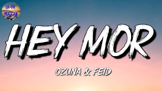 🎵 [Reggaeton] Ozuna Ft. Feid - Hey Mor | Maluma, Daddy Yankee, Bad Bunny (Mix Le