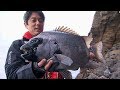 192 穂先に伝わる魚の鼓動 長崎県五島列島でイシダイ釣り 192 穂先に伝わる魚の鼓動 長崎県五島列島でイシダイ釣り
