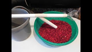 Как быстро перебрать ягоду от мусора // How to quickly sort out the berry from the garbage