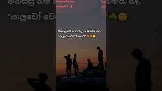 හොඳම  යාළුවගේ නම මොකද්ද ❤️😌 #viralvideo #love #sorts #sinhalawadan