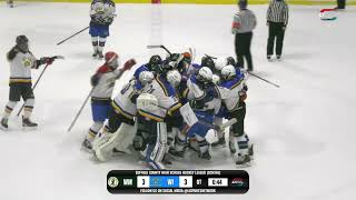 SCHSHL Varsity Recap | West Islip Lions V Ward Melville Patriots