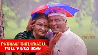 Pachani Chilukalu Telugu   Song | Bharateeyudu | Kamal Hassan, Kasthuri | @Jorda