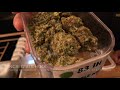 The Best Amsterdam Coffeeshops With Jimmy Nevski Part Three