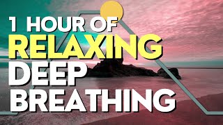 1 Hour of Relaxing Deep Breathing