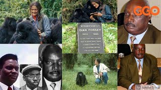 NI INDE WISHE NYIRAMACIBIRI? |HAKETSWE ABARI MURI LETA|YABANGAMIRAGA ABAGURISHA INGAGI| DIAN FOSSEY