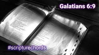 Galatians 6:9 (Soothing Array Mbira) #scripturechords