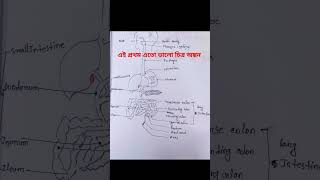 অনেকের মধ্য থেকে উপযুক্ত যেটা , কেবল মাত্র সেটাই গ্রহণ করা হয়।