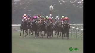 ウイニングチケット 1994年 第110回天皇賞(秋)(GI) (優勝馬：ネーハイシーザー) (実況：ラジオたんぱ版)