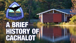 A Brief History of Cachalot