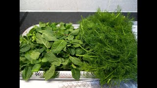 How to keep Herbs fresh for longer.چطور سبزیجات را مدت زیاد تازه نگهداری کنیم